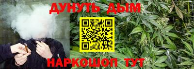 мдпв Жуковский