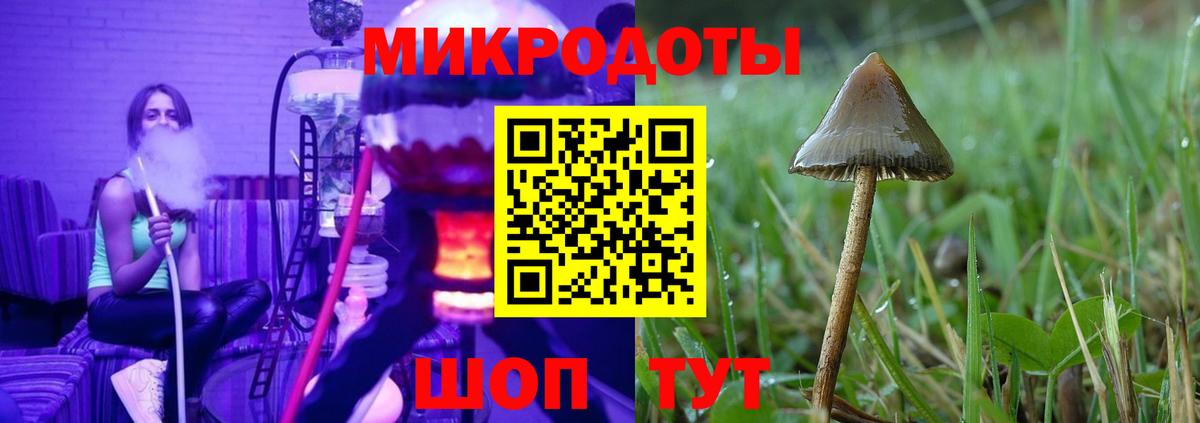 Луга  Галлюциногенные грибы Magic Shrooms  Псилоцибиновые грибы Psilocybine cubensis  Вход с VPN 